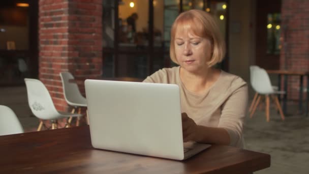 Vezető női típusú notebook a modern kávézóban — Stock videók