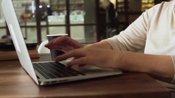 Tipe wanita senior pada notebook di kafe modern — Stok Video