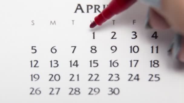 Giorno di cerchio di mano femminile in data di calendario con un marcatore rosso. Business Nozioni di base Wall Calendar Planner e organizzatore. 1 APRILE — Video Stock