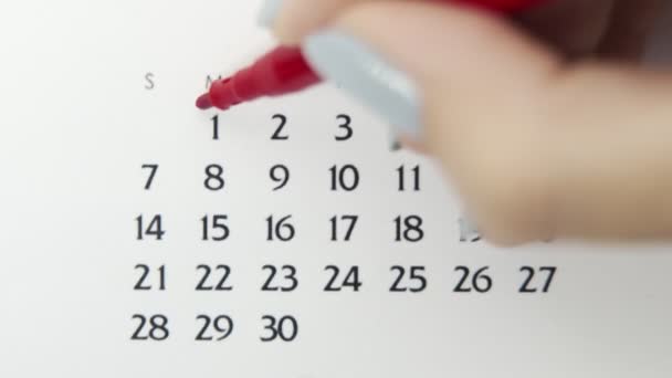Vrouwelijke handcirkeldag in kalenderdatum met een rode stift. Business Basics Wall Calendar Planner en Organisator. 1 juni — Stockvideo