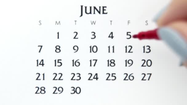 Kvinnlig hand cirkel dag i kalenderdatum med en röd markör. Business Basics Wall Calendar Planerare och arrangör. 5 juni — Stockvideo