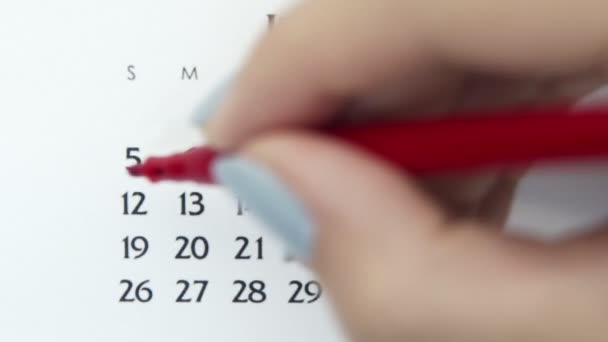 Día de círculo de la mano femenina en la fecha del calendario con un marcador rojo. Conceptos básicos de negocio Wall Calendar Planner and Organizer. 5 de julio — Vídeos de Stock