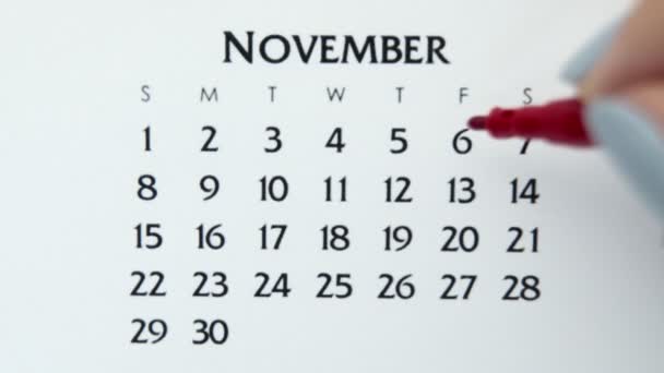 Kvinnlig hand cirkel dag i kalenderdatum med en röd markör. Business Basics Wall Calendar Planerare och arrangör. 6 november — Stockvideo
