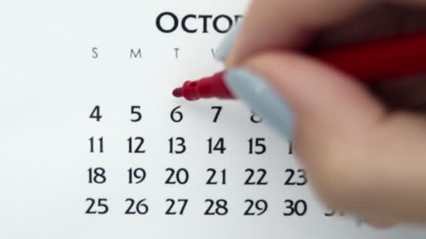 Femme cercle de main jour dans la date du calendrier avec un marqueur rouge. Business Basics Planificateur et organisateur de calendrier mural. 6 octobre — Video