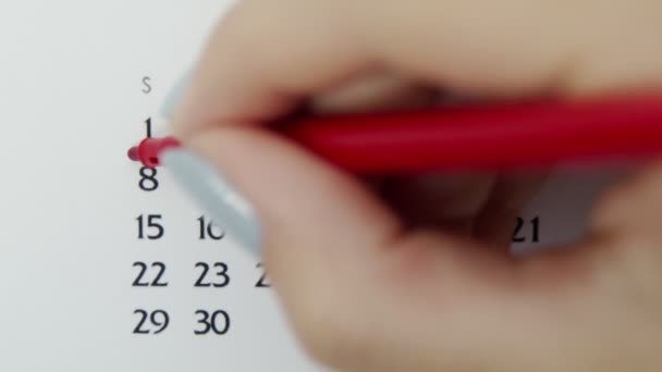 Kobiecy dzień kółka w dniu kalendarzowym z czerwonym markerem. Podstawy biznesu Kalendarz ścienny Planer i Organizator. 8 listopada. — Wideo stockowe