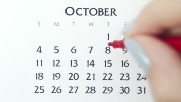 Dia círculo mão feminino em data de calendário com um marcador vermelho. Noções básicas de negócios Wall Calendar Planner and Organizer. 8 de Outubro — Vídeo de Stock