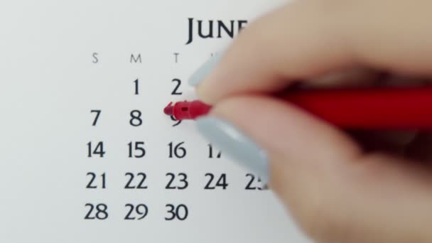 Weiblicher Handkreistag im Kalenderdatum mit roter Markierung. Business Basics Wall Calendar Planer und Organisator. 9. Juni — Stockvideo