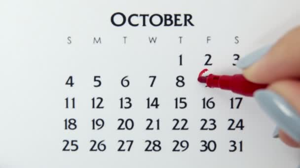 Femme cercle de main jour dans la date du calendrier avec un marqueur rouge. Business Basics Planificateur et organisateur de calendrier mural. 9 octobre — Video