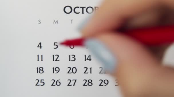 Kobiecy dzień kółka w dniu kalendarzowym z czerwonym markerem. Podstawy biznesu Kalendarz ścienny Planer i Organizator. 11 października. — Wideo stockowe