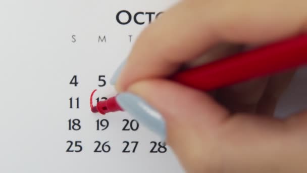 Kobiecy dzień kółka w dniu kalendarzowym z czerwonym markerem. Podstawy biznesu Kalendarz ścienny Planer i Organizator. 12 października. — Wideo stockowe