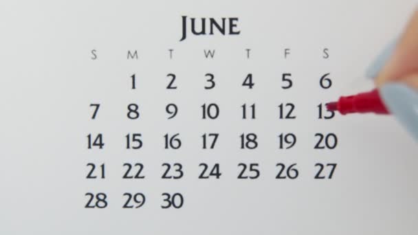 Vrouwelijke handcirkeldag in kalenderdatum met een rode stift. Business Basics Wall Calendar Planner en Organisator. 13 juni — Stockvideo