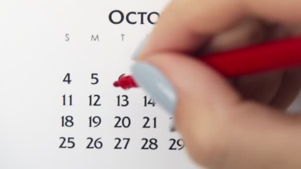 赤いマーカーでカレンダー日付の女性の手の円の日。ビジネスの基本壁カレンダープランナーと主催者。11月13日 — ストック動画