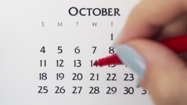 Kobiecy dzień kółka w dniu kalendarzowym z czerwonym markerem. Podstawy biznesu Kalendarz ścienny Planer i Organizator. 14 października. — Wideo stockowe