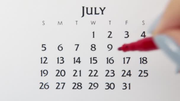 Dia círculo mão feminino em data de calendário com um marcador vermelho. Noções básicas de negócios Wall Calendar Planner and Organizer. 16 de Julho — Vídeo de Stock