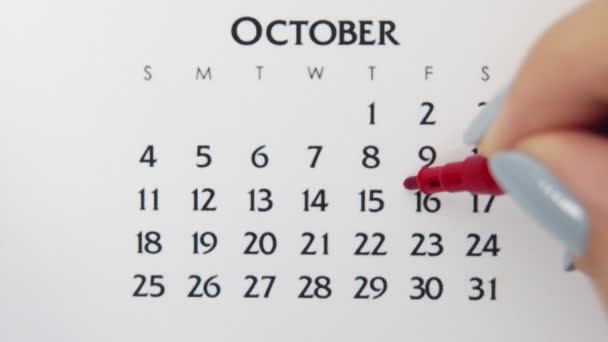 Kvinnlig hand cirkel dag i kalenderdatum med en röd markör. Business Basics Wall Calendar Planerare och arrangör. 16 oktober. — Stockvideo