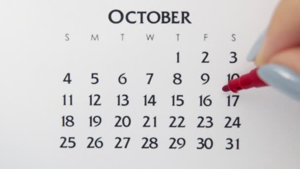 Giorno di cerchio di mano femminile in data di calendario con un marcatore rosso. Business Nozioni di base Wall Calendar Planner e organizzatore. 17 ottobre — Video Stock