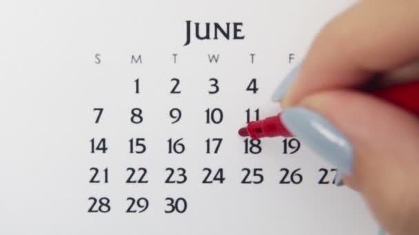Giorno di cerchio di mano femminile in data di calendario con un marcatore rosso. Business Nozioni di base Wall Calendar Planner e organizzatore. 18 giugno — Video Stock