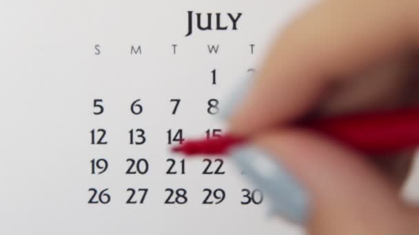 Wanita lingkaran tangan hari dalam tanggal kalender dengan penanda merah. Business Basics Wall Calendar Planner and Organizer (dalam bahasa Inggris). 19 Juli — Stok Video