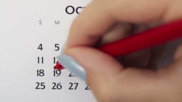 Kvinnlig hand cirkel dag i kalenderdatum med en röd markör. Business Basics Wall Calendar Planerare och arrangör. 19 oktober. — Stockvideo