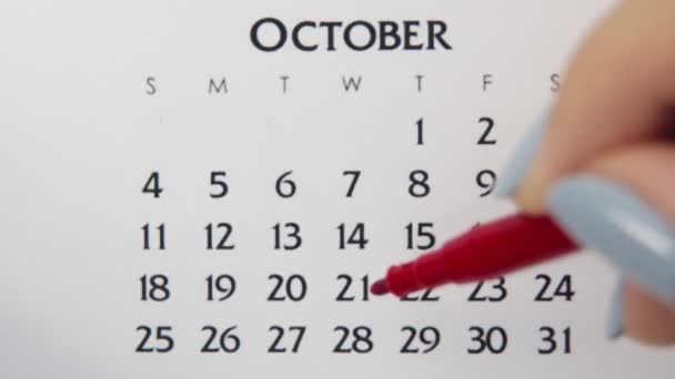 Kobiecy dzień kółka w dniu kalendarzowym z czerwonym markerem. Podstawy biznesu Kalendarz ścienny Planer i Organizator. 22 października. — Wideo stockowe