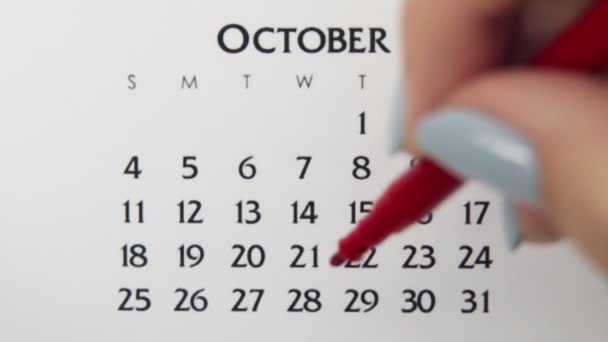 Samice kruh den v kalendářním datu s červenou značkou. Business Basics Wall Calendar Planner and Organizer. 28. října — Stock video