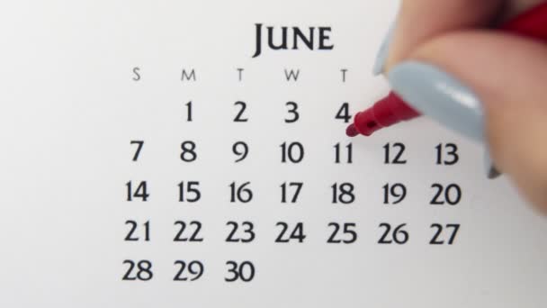 Dia círculo mão feminino em data de calendário com um marcador vermelho. Noções básicas de negócios Wall Calendar Planner and Organizer. 11 de Junho — Vídeo de Stock