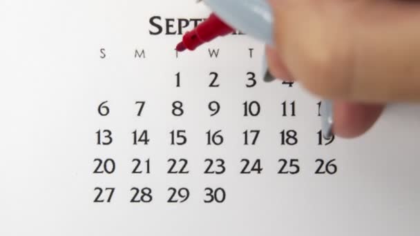 Samice kruh den v kalendářním datu s červenou značkou. Business Basics Wall Calendar Planner and Organizer. 1. září — Stock video
