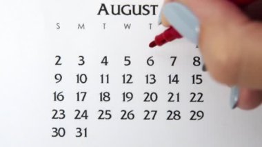 Takvimde kırmızı kalemli bir kadın el çemberi günü. İş Temel Duvar Takvimi Planlayıcı ve Düzenleyici. 6 Ağustos