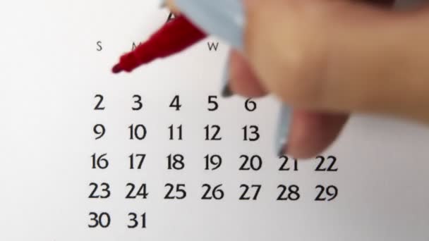 赤いマーカーでカレンダー日付の女性の手の円の日。ビジネスの基本壁カレンダープランナーと主催者。8月2日 — ストック動画
