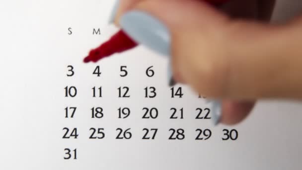 Kvinnlig hand cirkel dag i kalenderdatum med en röd markör. Business Basics Wall Calendar Planerare och arrangör. 3 maj — Stockvideo