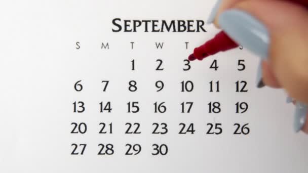 Ημέρα θηλυκού κύκλου στο ημερολόγιο με κόκκινο μαρκαδόρο. Business Basics Wall Ημερολόγιο και Organizer. 3 Σεπτεμβρίου — Αρχείο Βίντεο