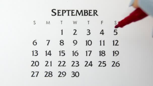Día de círculo de la mano femenina en la fecha del calendario con un marcador rojo. Conceptos básicos de negocio Wall Calendar Planner and Organizer. 4 de septiembre — Vídeo de stock