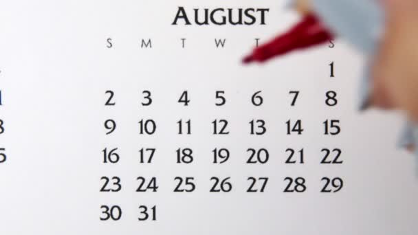 Kobiecy dzień kółka w dniu kalendarzowym z czerwonym markerem. Podstawy biznesu Kalendarz ścienny Planer i Organizator. 4 sierpnia — Wideo stockowe