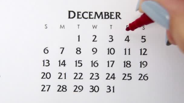 Kvinnlig hand cirkel dag i kalenderdatum med en röd markör. Business Basics Wall Calendar Planerare och arrangör. 4 december — Stockvideo