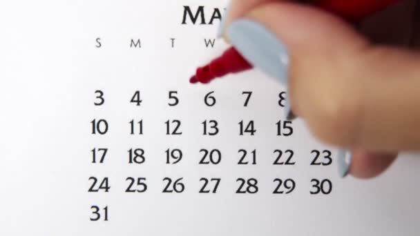 Kvinnlig hand cirkel dag i kalenderdatum med en röd markör. Business Basics Wall Calendar Planerare och arrangör. 5 maj — Stockvideo