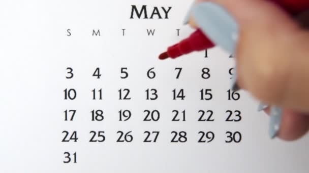 Kvinnlig hand cirkel dag i kalenderdatum med en röd markör. Business Basics Wall Calendar Planerare och arrangör. 6 maj — Stockvideo