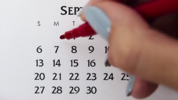 Femme cercle de main jour dans la date du calendrier avec un marqueur rouge. Business Basics Planificateur et organisateur de calendrier mural. 7 septembre — Video