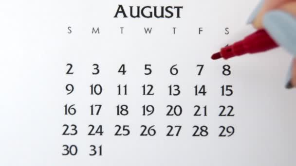 Kvinnlig hand cirkel dag i kalenderdatum med en röd markör. Business Basics Wall Calendar Planerare och arrangör. 7 augusti — Stockvideo
