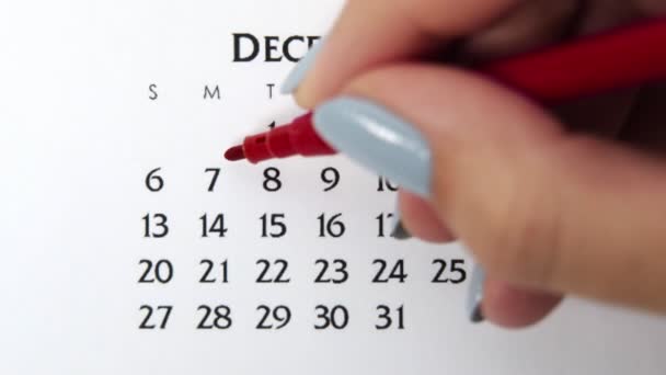 Femme cercle de main jour dans la date du calendrier avec un marqueur rouge. Business Basics Planificateur et organisateur de calendrier mural. 7 décembre — Video