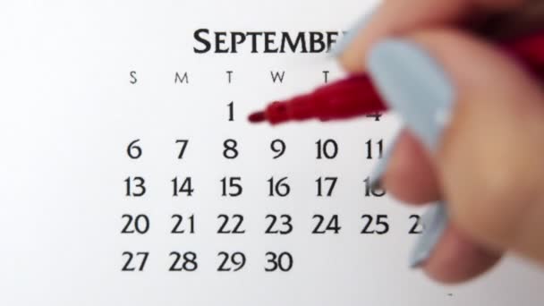 Femme cercle de main jour dans la date du calendrier avec un marqueur rouge. Business Basics Planificateur et organisateur de calendrier mural. 8 septembre — Video