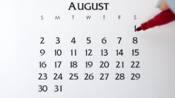 Giorno di cerchio di mano femminile in data di calendario con un marcatore rosso. Business Nozioni di base Wall Calendar Planner e organizzatore. 8 agosto — Video Stock