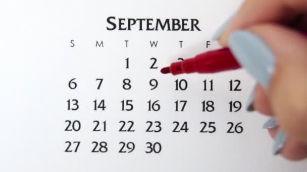 Kvinnlig hand cirkel dag i kalenderdatum med en röd markör. Business Basics Wall Calendar Planerare och arrangör. 9 september. — Stockvideo