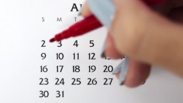 赤いマーカーでカレンダー日付の女性の手の円の日。ビジネスの基本壁カレンダープランナーと主催者。8月9日 — ストック動画