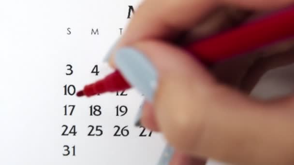 Dia círculo mão feminino em data de calendário com um marcador vermelho. Noções básicas de negócios Wall Calendar Planner and Organizer. 10 de Maio — Vídeo de Stock