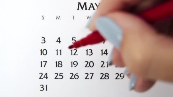 赤いマーカーでカレンダー日付の女性の手の円の日。ビジネスの基本壁カレンダープランナーと主催者。5月11日 — ストック動画