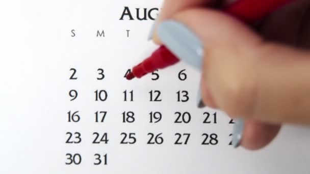 赤いマーカーでカレンダー日付の女性の手の円の日。ビジネスの基本壁カレンダープランナーと主催者。8月11日 — ストック動画