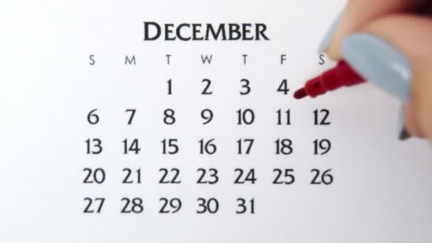 Femme cercle de main jour dans la date du calendrier avec un marqueur rouge. Business Basics Planificateur et organisateur de calendrier mural. 11 décembre — Video