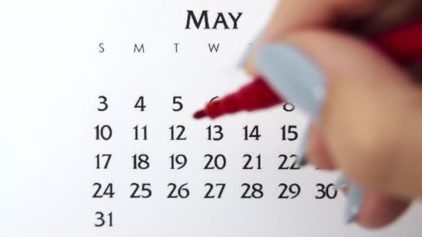 Día de círculo de la mano femenina en la fecha del calendario con un marcador rojo. Conceptos básicos de negocio Wall Calendar Planner and Organizer. 12 de mayo — Vídeos de Stock