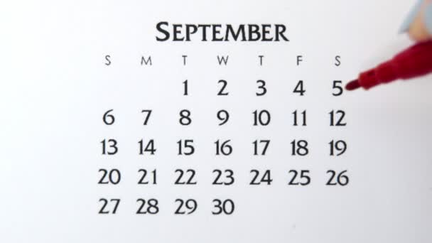 赤いマーカーでカレンダー日付の女性の手の円の日。ビジネスの基本壁カレンダープランナーと主催者。9月12日 — ストック動画
