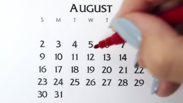 Vrouwelijke handcirkeldag in kalenderdatum met een rode stift. Business Basics Wall Calendar Planner en Organisator. 12 augustus — Stockvideo